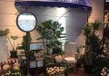 上海宝山区附近ktv招聘酒水促销员,有没有职位上升空间