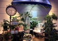 上海宝山区罗店镇附近夜总会招聘包厢陪唱,交五险一金吗？